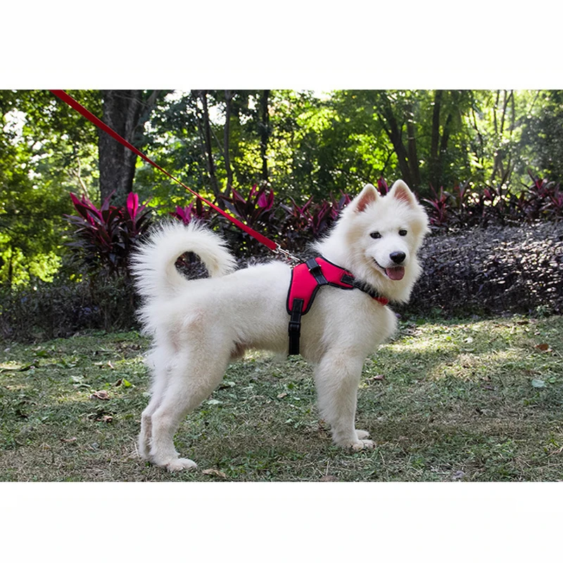 Продукция для больших собак taipup ошейник со светящимися вставками свинцовый