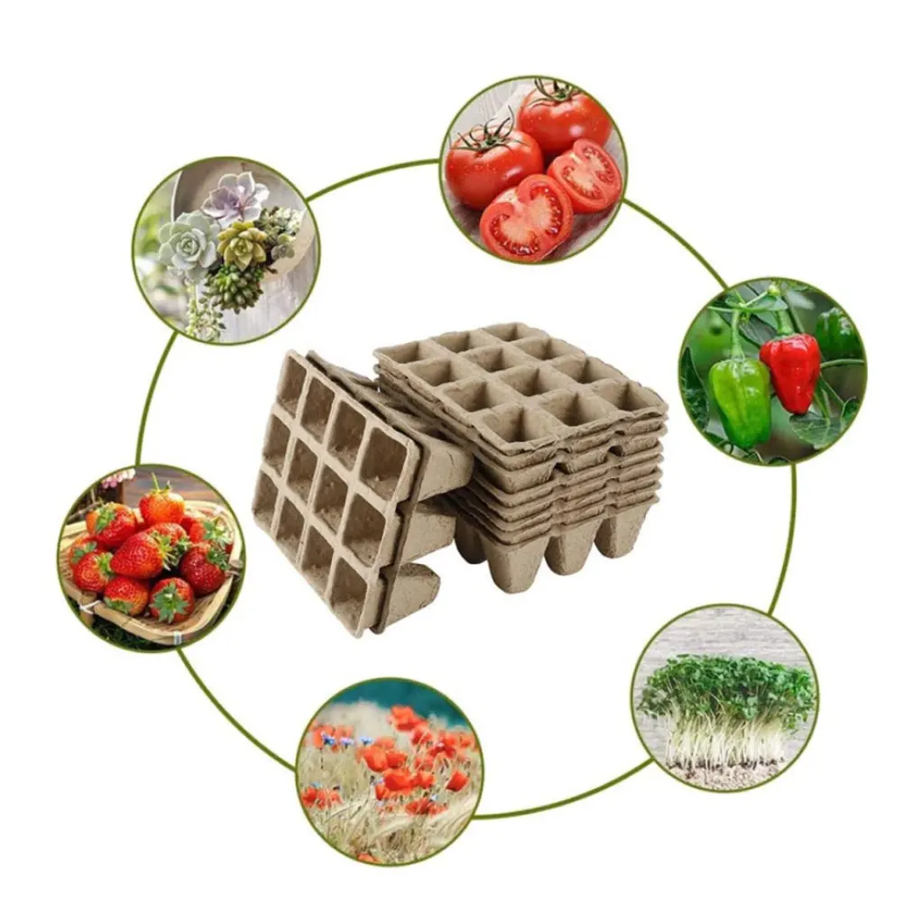 

Germination Seedling Trays Plants Starter Tray Kit Pots Organic Biodegradable 5 Pack 60 Cells for Vegetable Flower Plants