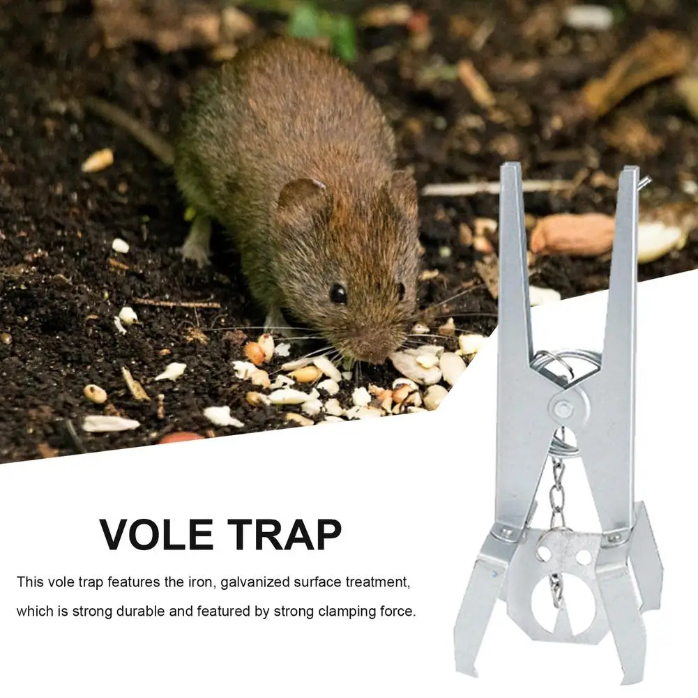 

Vole Gopher Trap Scissors Clip Outdoor Easy Set Vole Tongs Scissor Galvanized Surface Trap Catcher Mouse Trap