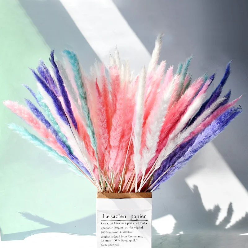 15 шт. натуральные сухие небольшой Рид пампасной травы Искусственные цветы Phragmites