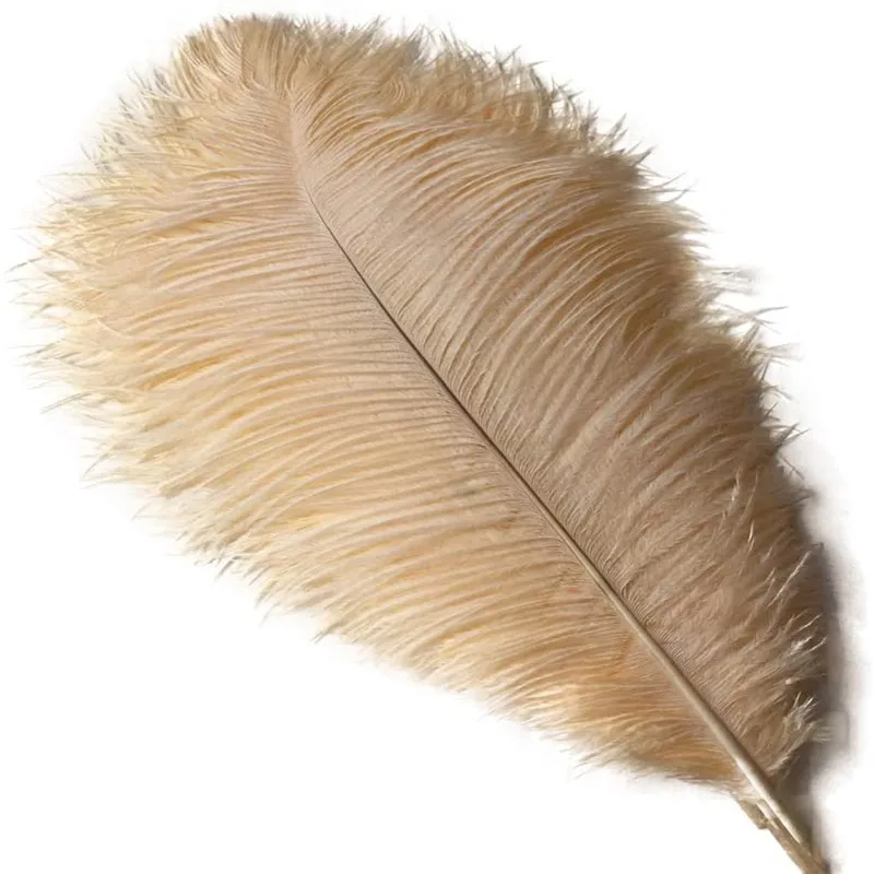 10/200 шт. страусиные перья для украшений | Дом и сад