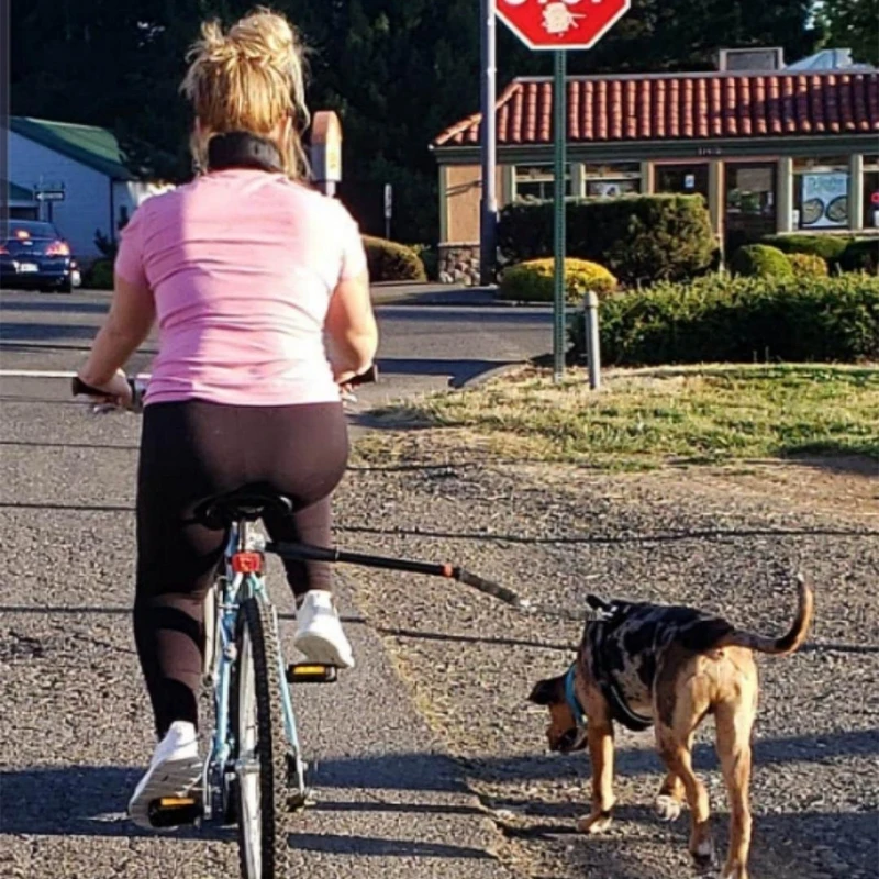 

Hands Free Dog Bicycle Exerciser Leash Newest Model with Pull Strength Leash Great Performance D5QD