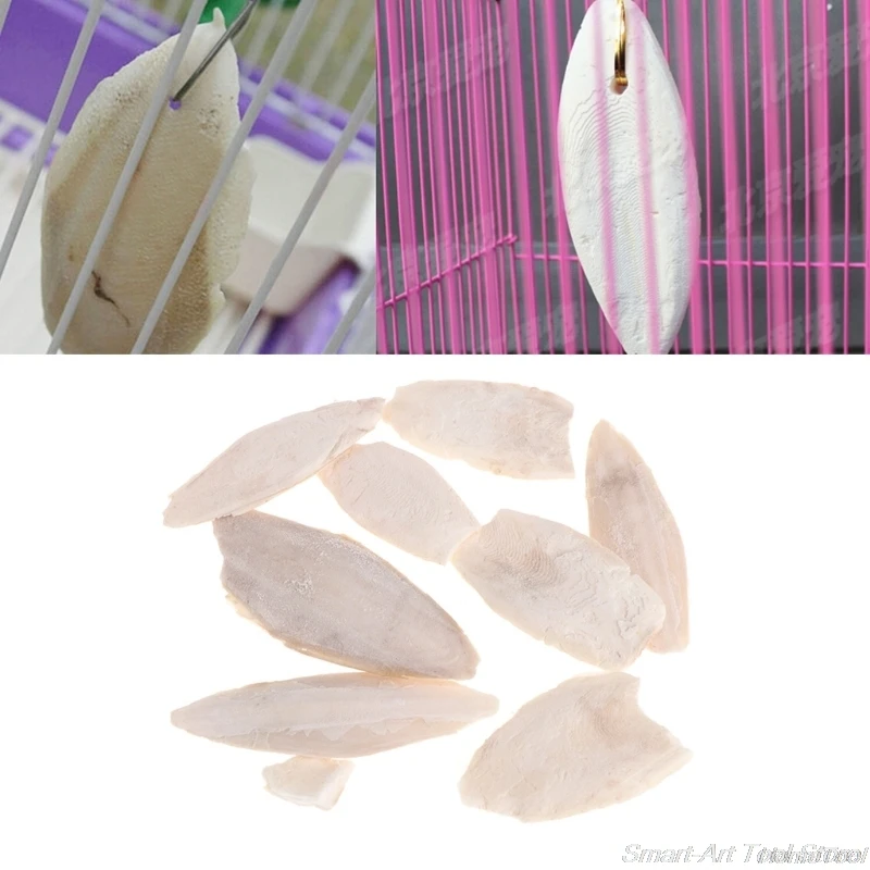 

1 Bag Cuttlebone Cuttlefish Sepia Bone Cuttle Fish Bird Food Calcium Pickstone Pet F25 21 Dropshipping