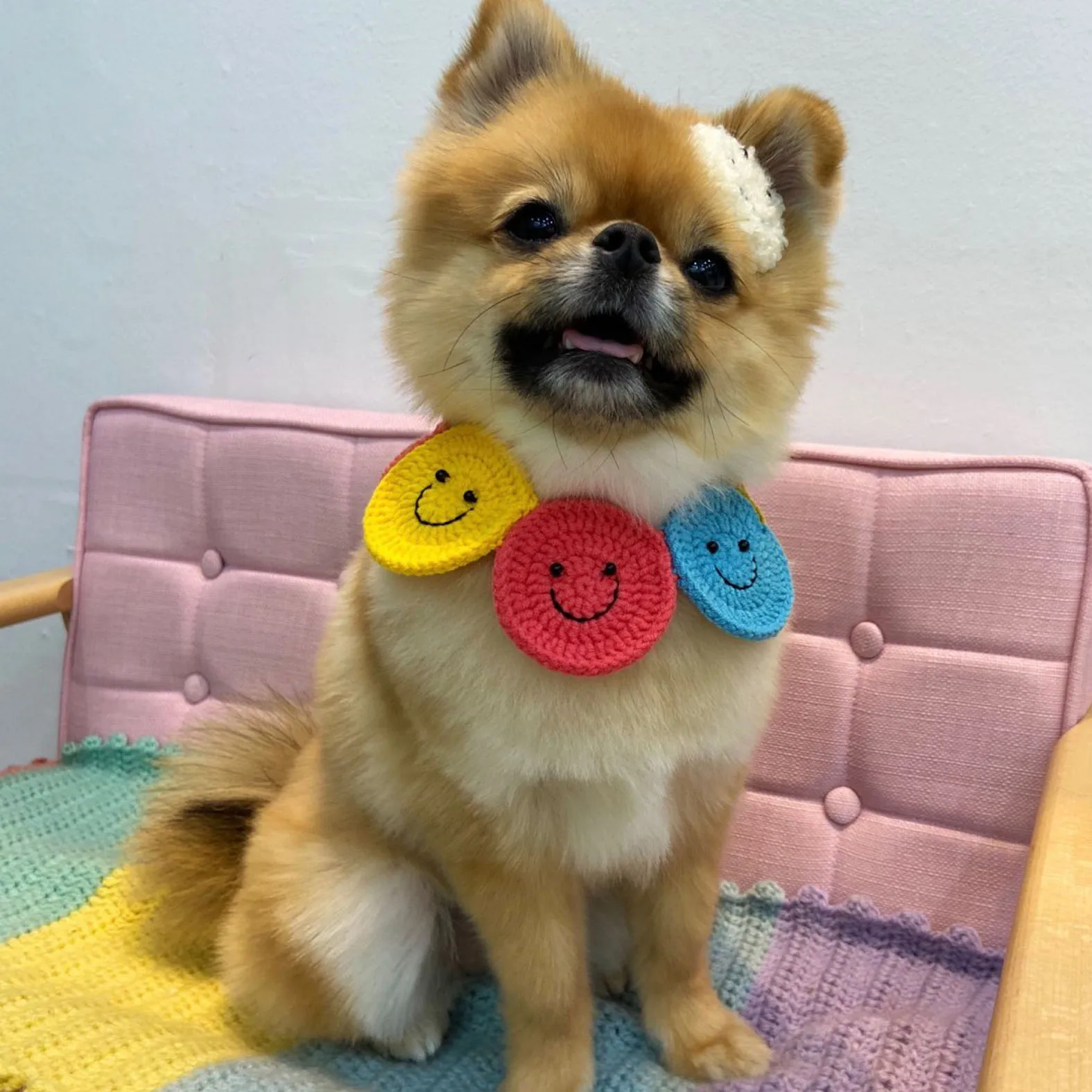 

Pet collar cats and dogs cute colorful smiley handmade knitted necklaces pet accessories pet necklaces