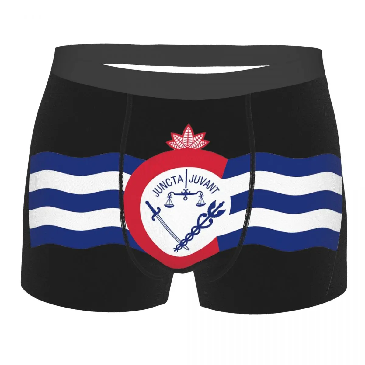 Flag Of Cincinnati Men's Boxer Briefs R301 Funny Sarcastic Men's boxer leggings