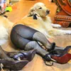 Изображение товара 3