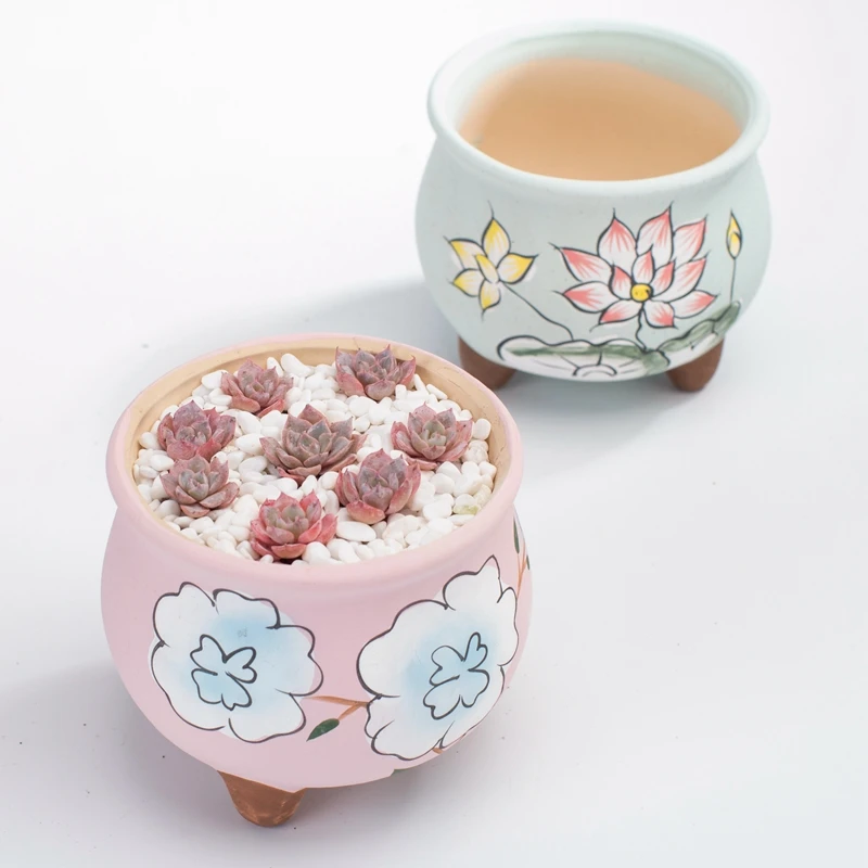 Корейский ручная роспись средний и большой калибр маленькое мясо растение