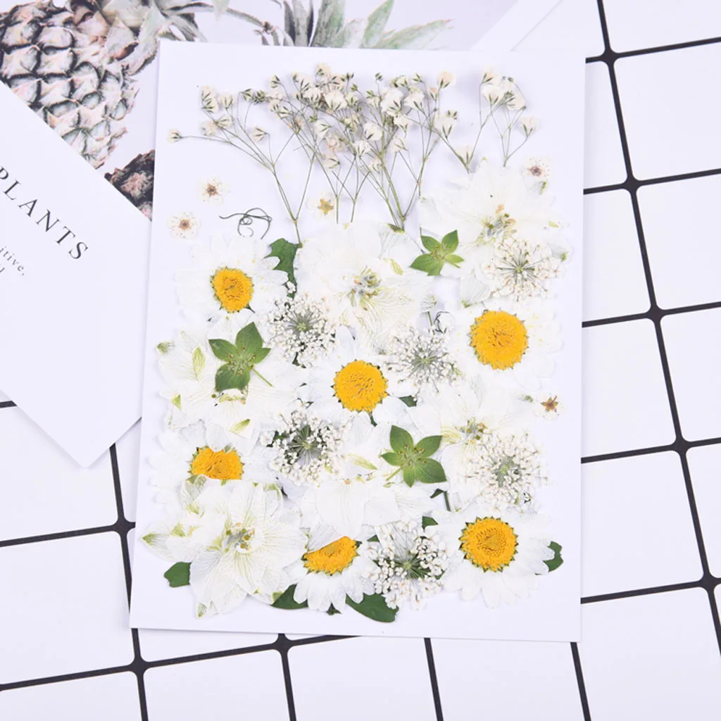 Натуральные сухие цветы комбинации DIY прессованных гербарий с украшением в виде