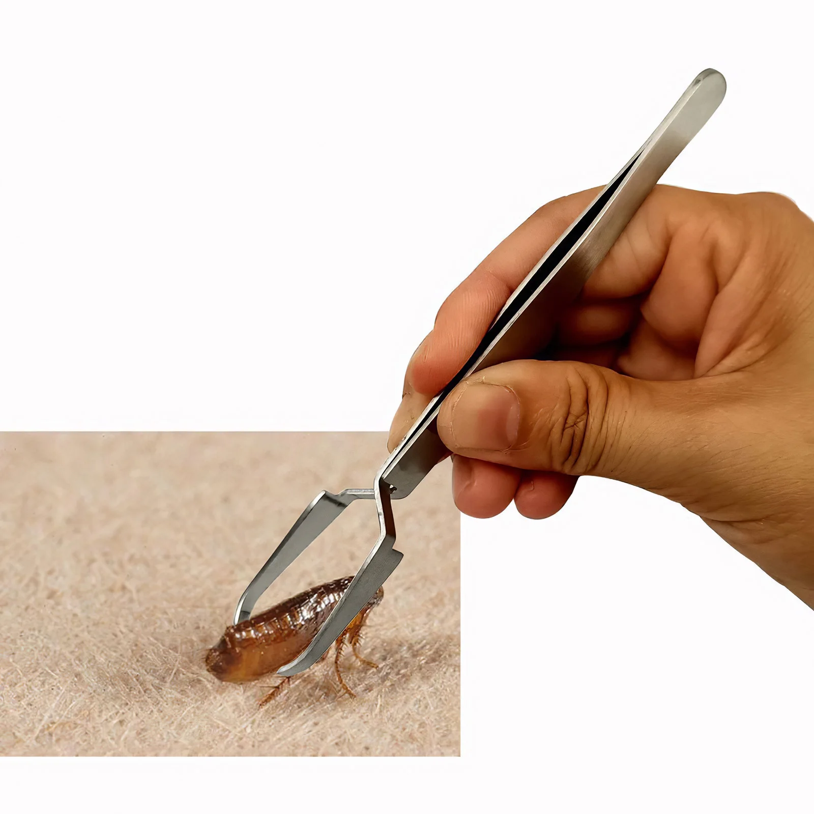 Набор инструментов для удаления клещей нержавеющая сталь пластиковый бокс