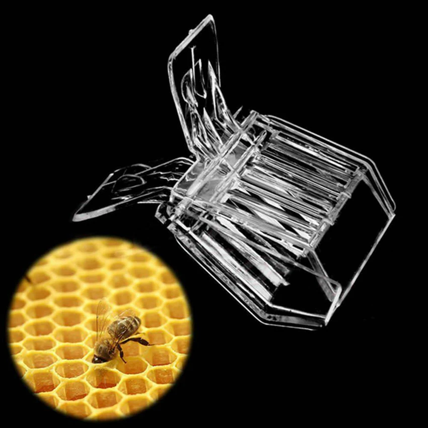 

Plastic Beekeeping Bee Catcher Tool Queen Clips Bee Catcher Cage Beekeeper Equip Durable Beekeeper Tool Equip