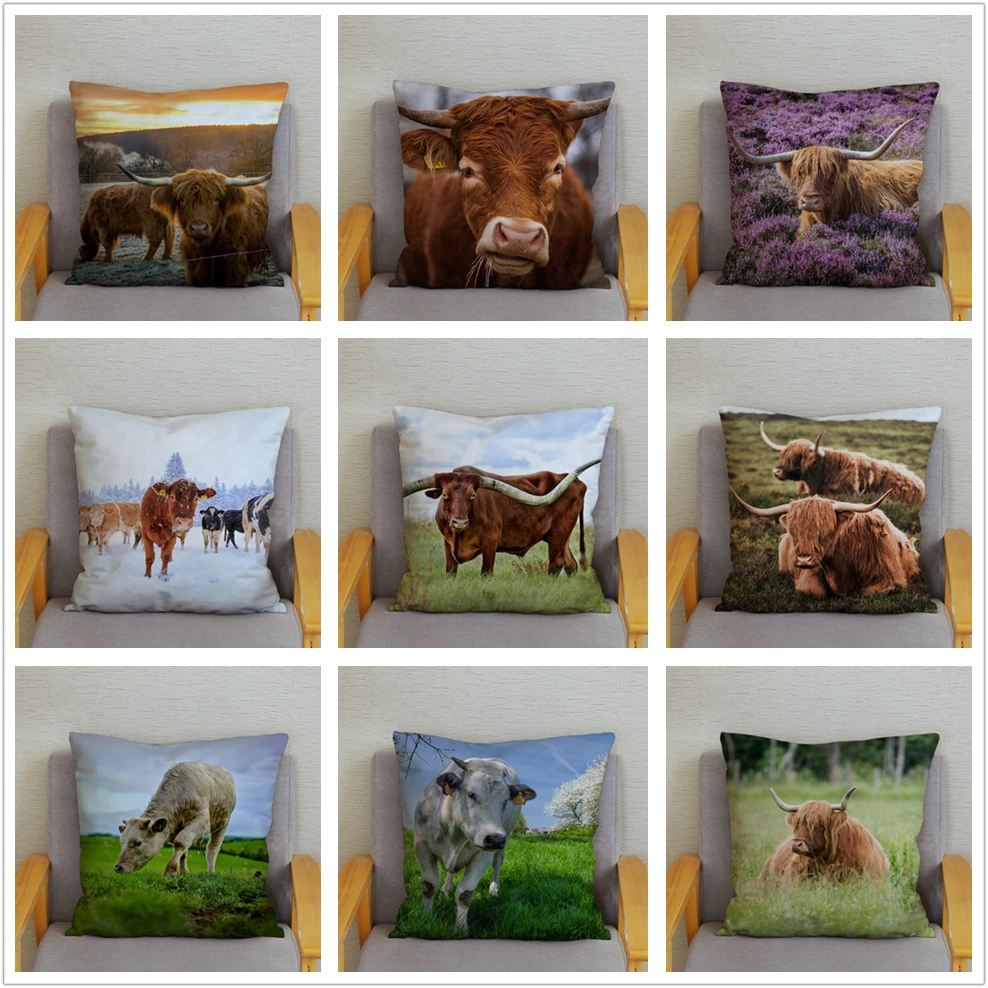 Scottish Highland Cattle Cow Print Cushion Cover Kyloe Soft Plush Throw Pillowcase Kid Gift Sofa Home Decor Pillows Cases images - 6