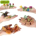 Искусственное растение, миниатюрная Цветочная модель, насекомое, фигурка животного, цикл роста, ручная работа, роза, Орхидея, Нарцисс, тюльпан, Lotu игрушка-Подсолнечник