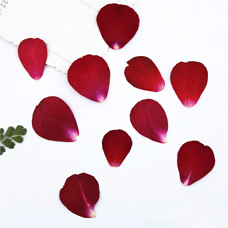 1 5 см/20 шт настоящие лепестки цветов прессованные для DIY свечей подарочная карта