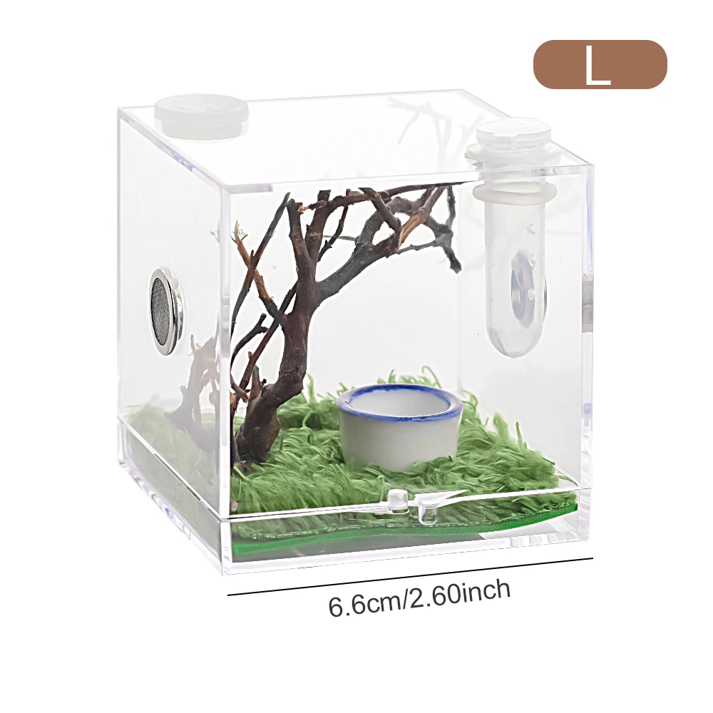

Transparent Acrylic Mini Spider Breeding Box Black Widow Spider Small Insect Breathable Terrarium Reptile Breeding Spider Box