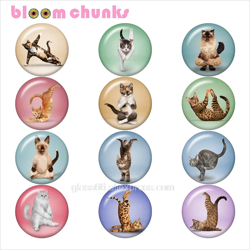 Кошка Йога Горячая 12 мм/18 мм/25 мм/40 мм круглый стеклянный кабошон демонстрационный плоский задний делая результаты TL4012 - Color: 10pcs Mixed Set