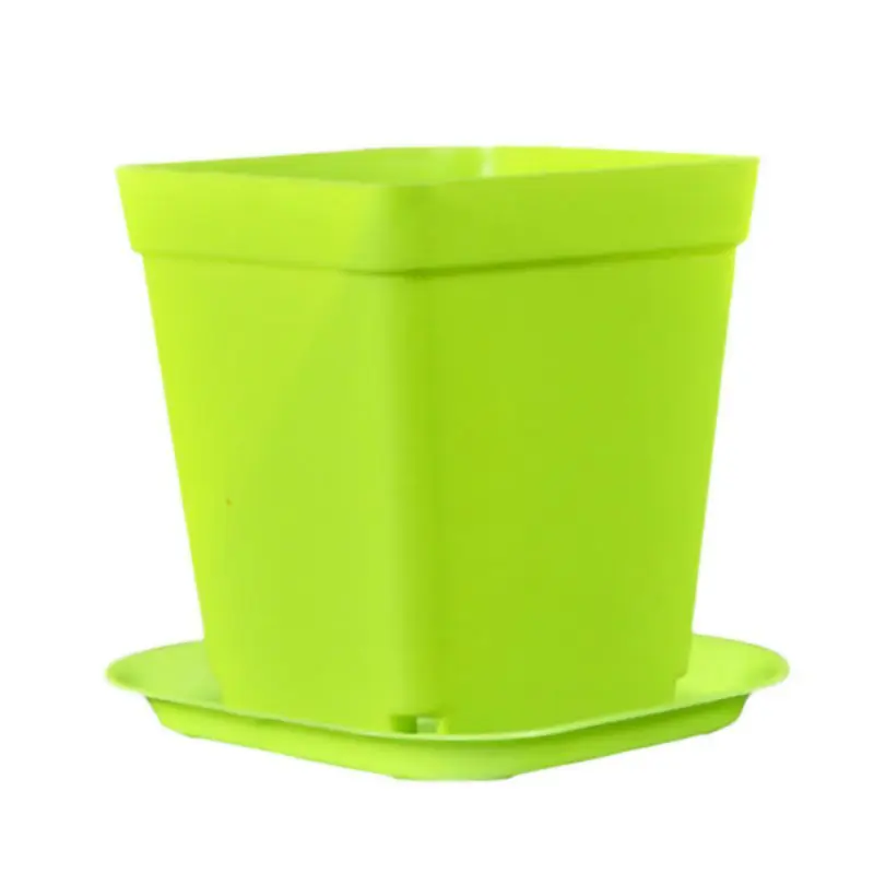 Креативный Настольный пластиковый мини поднос для растений персонализированные