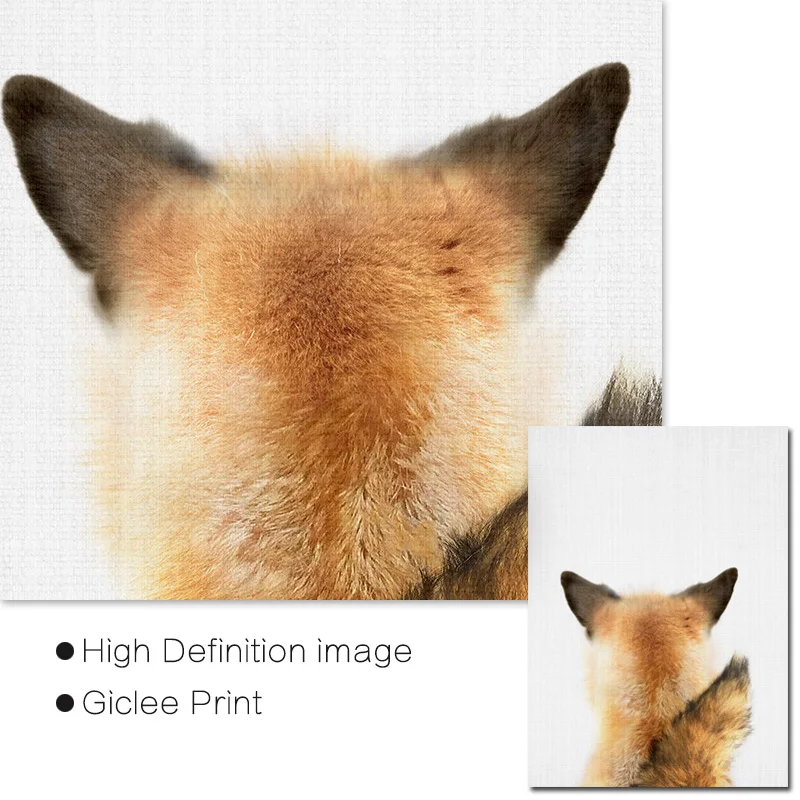 Детские постеры и принты в виде лисицы на стену Раскрашивание животных лесу