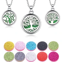 womens delicate stainless steel aroma diffuser necklace essential oils aromatherapy perfume locket pendant necklace diy pads