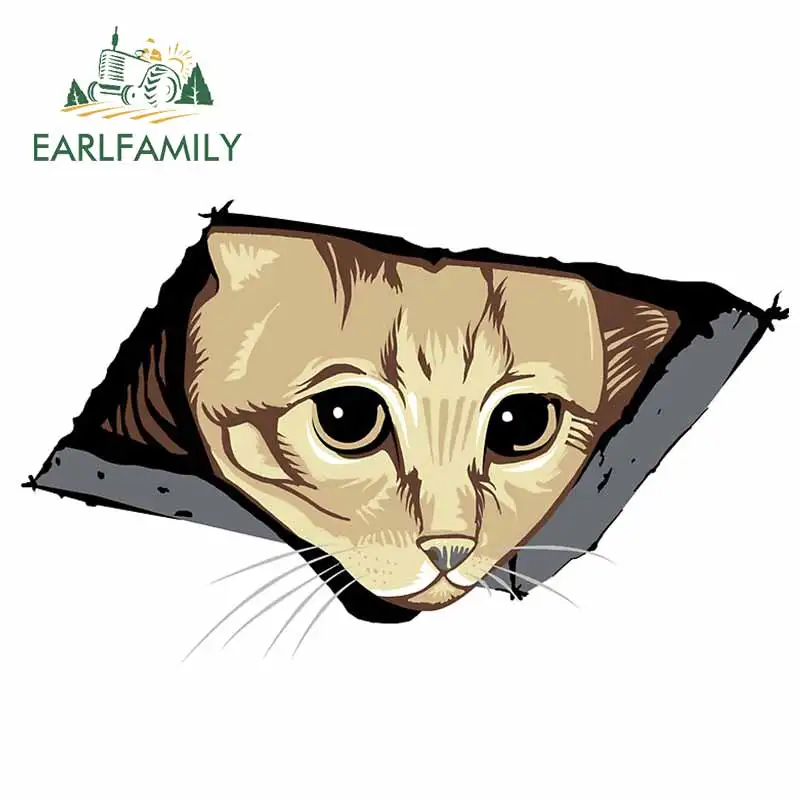 Наклейка для автомобиля EARLFAMILY 13 см х 8 материал виниловые наклейки на машину