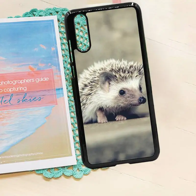 

Hedgehog cute animal Phone Case PC for iPhone 11 12 pro XS MAX 8 7 6 6S Plus X 5S SE 2020 XR