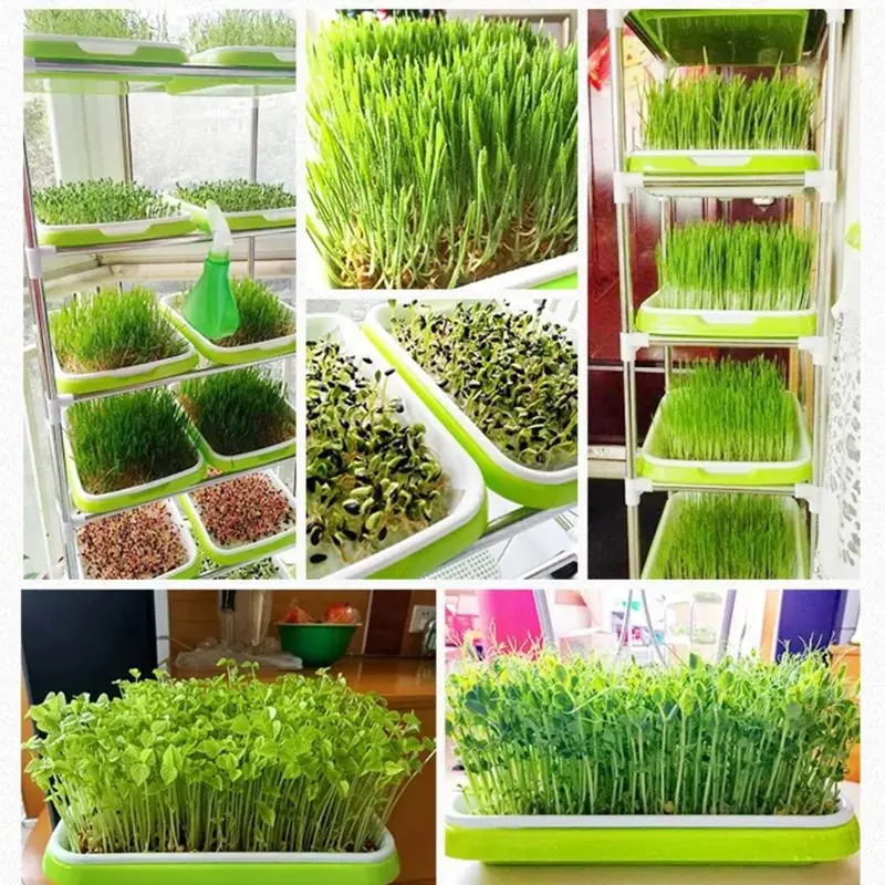 

1set Sprout Trays,Seed Sprouter Tray Double-layer Soilless Culture Seeds Hydroponic Nursery Tray for Garden Home Office