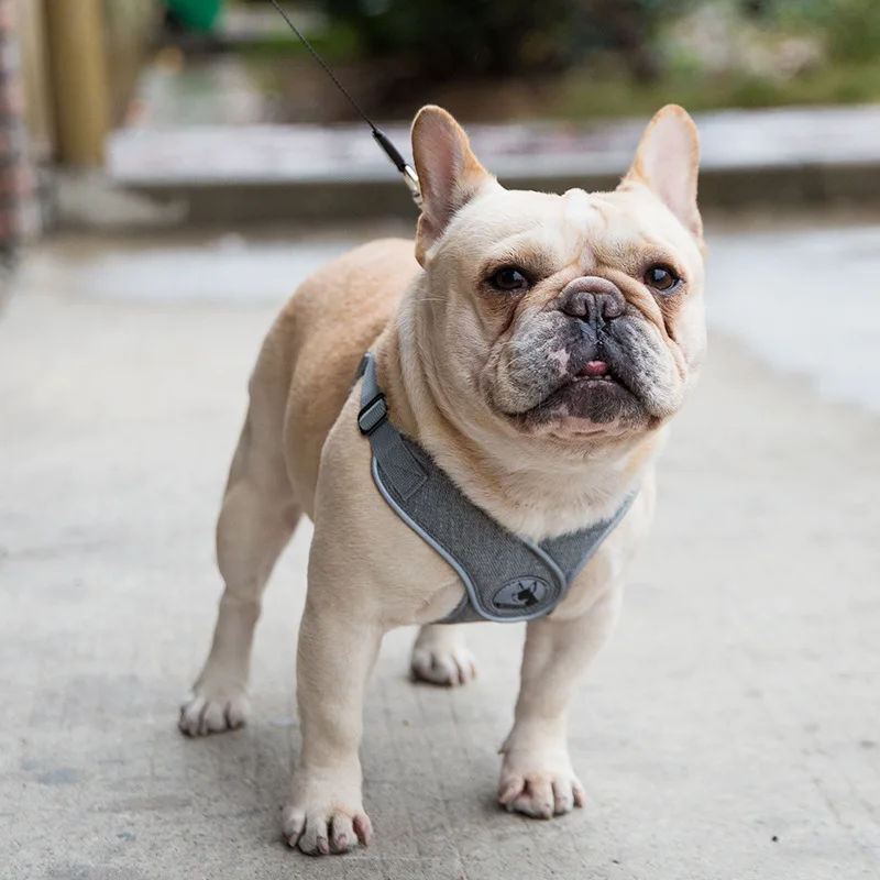 X-образный бюстгальтер на бретелях буксировочная веревка для домашних животных