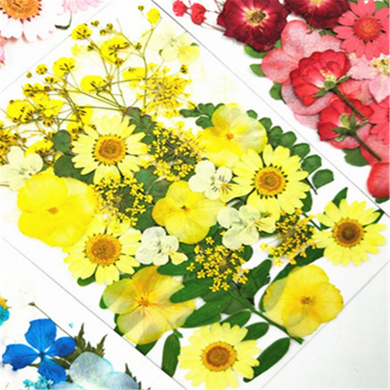 

Dried Flowers Pressed Scrapbook Bookmark Card Making DIY Art Craft Decor Supply Small Dried Flowers