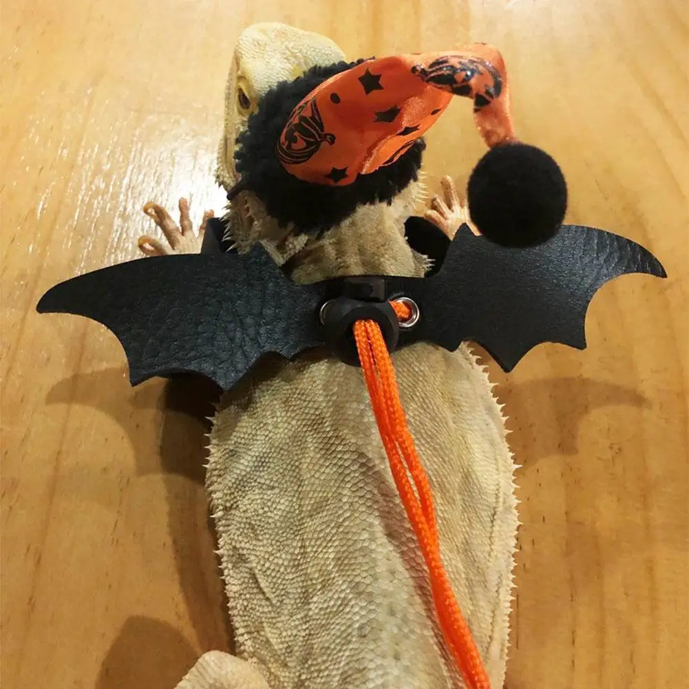 Дракон/игуаны/ящерица маленькая рептилия упряжь Ящерица Забавный костюм для