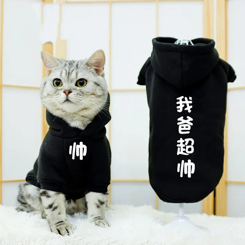 

Одежда для кошек, тонкие волосы, летняя одежда для кошек, кошек, синих кошек, молодых кошек, собак, домашних животных, кошек, лето, лето.