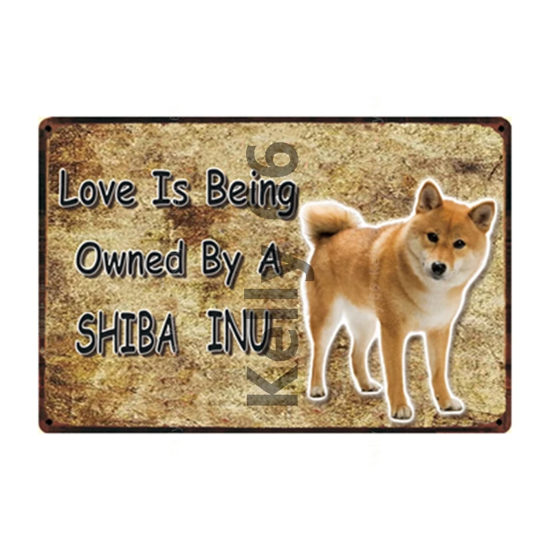 

[ Kelly66 ] Pets Warning Dogs Rules Shiba Inu And Great Pyrenees Metal Sign Home Decor Bar Wall Art Painting 20*30 CM Size DG-34