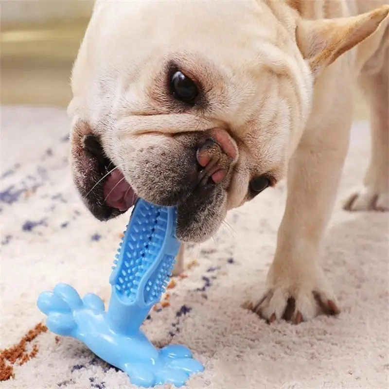 

Novelty Dog Toy Dog Toothbrush Pet Supplies Dog Toothbrush Molar Stick Silicone Large And Small Dogs Training Dog Toy