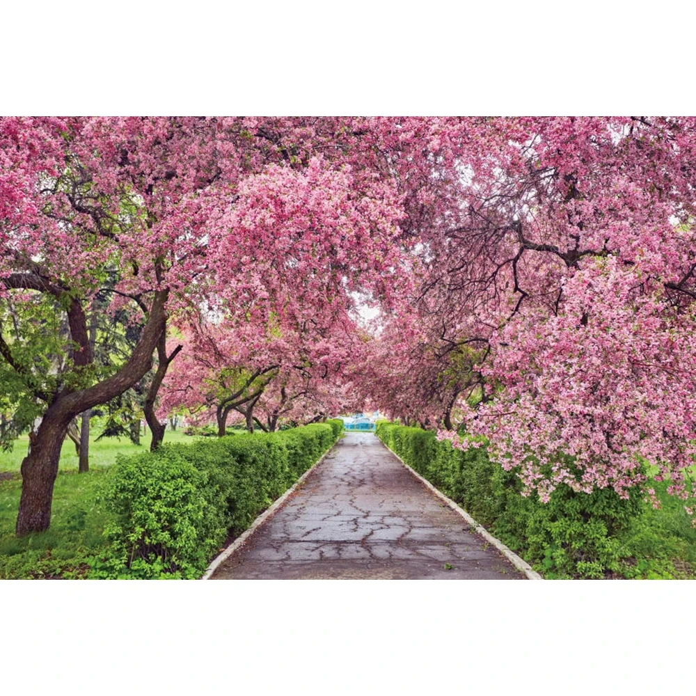 

Spring Flower Tree Forest Park Garden Scenery Nature Baby Backdrop Vinyl Photography Background For Photo Studio Photophone Prop