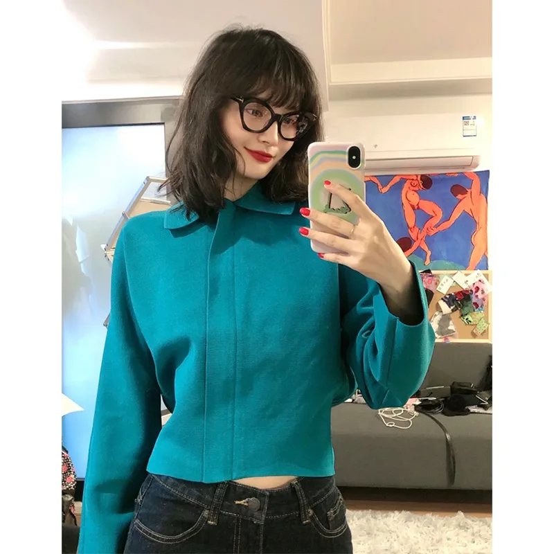 

Женский свитер, осень 2021, новый однотонный модный вязаный жакет на молнии с отложным воротником и длинным рукавом в стиле ретро