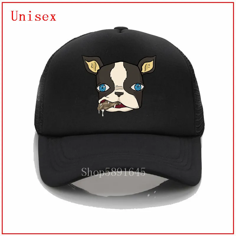 Футболка Iggy Невероятные приключения Джоджо для мужчин и женщин Панама головной