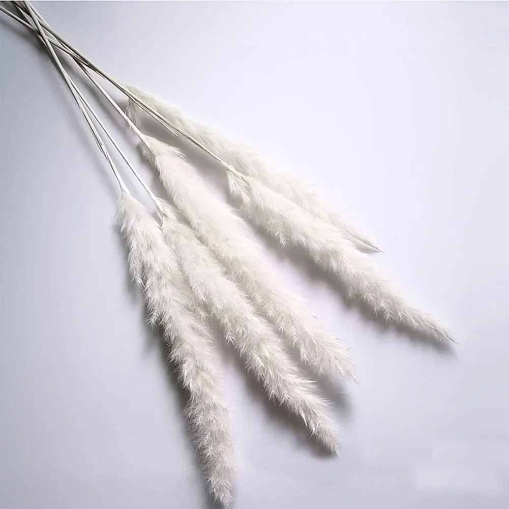 15 шт сушеные маленькие Pampas Grass Phragmites Communis украшения для дома отеля свадьбы | Дом и