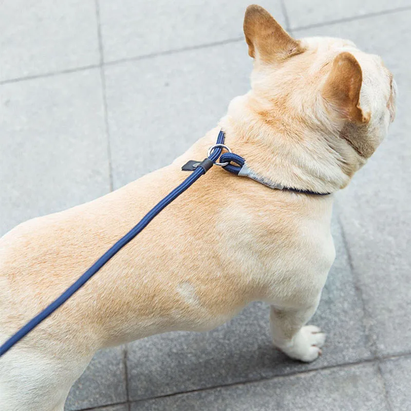 

Dog traction rope P chain dog walking rope puppy professional competition rope pet supplies