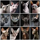Набор для алмазной живописи FIYO 5D сделай сам, Набор для вышивки крестиком, с квадратнымикруглыми стразами, с сфинксом, кошкой, мозаика с животными, Висячие картины