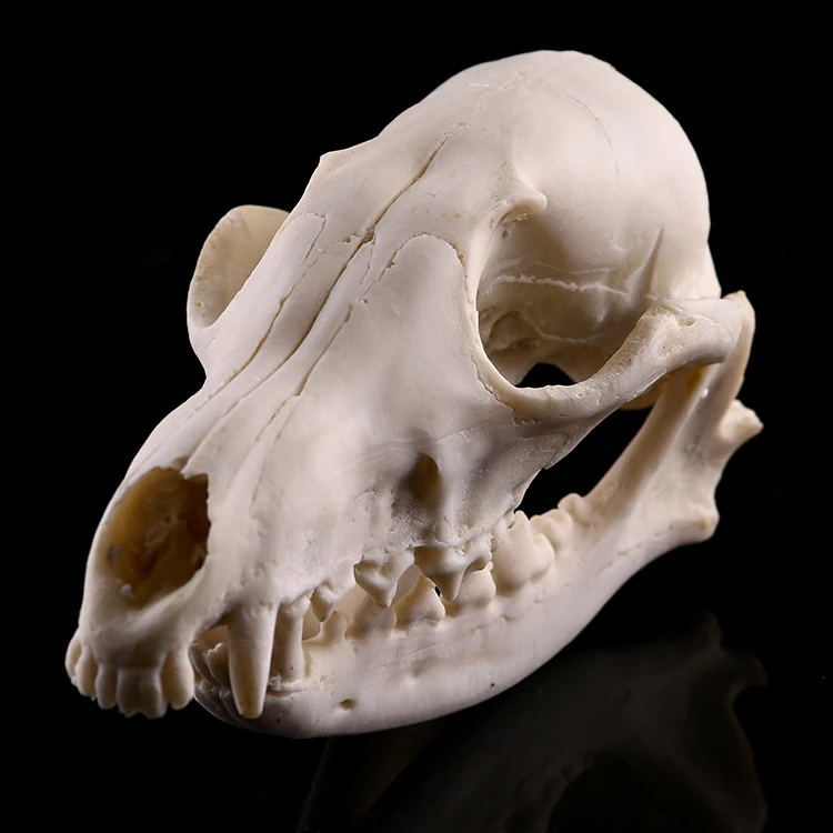 

Resin Skull Aquarium Decoration Fish Tank Reptile Terrarium Decorative Ornament