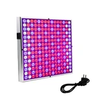 Yabstrip 25 Вт 45 Вт 60 Вт Светодиодный светильник для выращивания 2835 SMD полный спектр светодиодный панельный светильник для помещений гидропонная система тент для растений лампы для выращивания