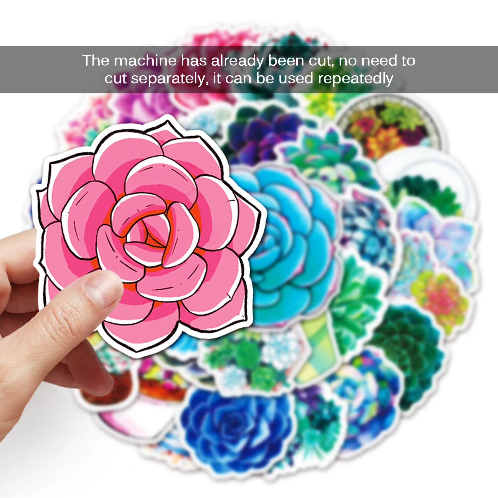 50PCS Mixed Pretty Succulent Plant Stickers PVC Sticker Aesthetic Guitar Laptop Phone Bike Waterproof Graffiti Decal Toy | Дом и сад