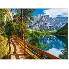 Алмазная вышивка 5D 