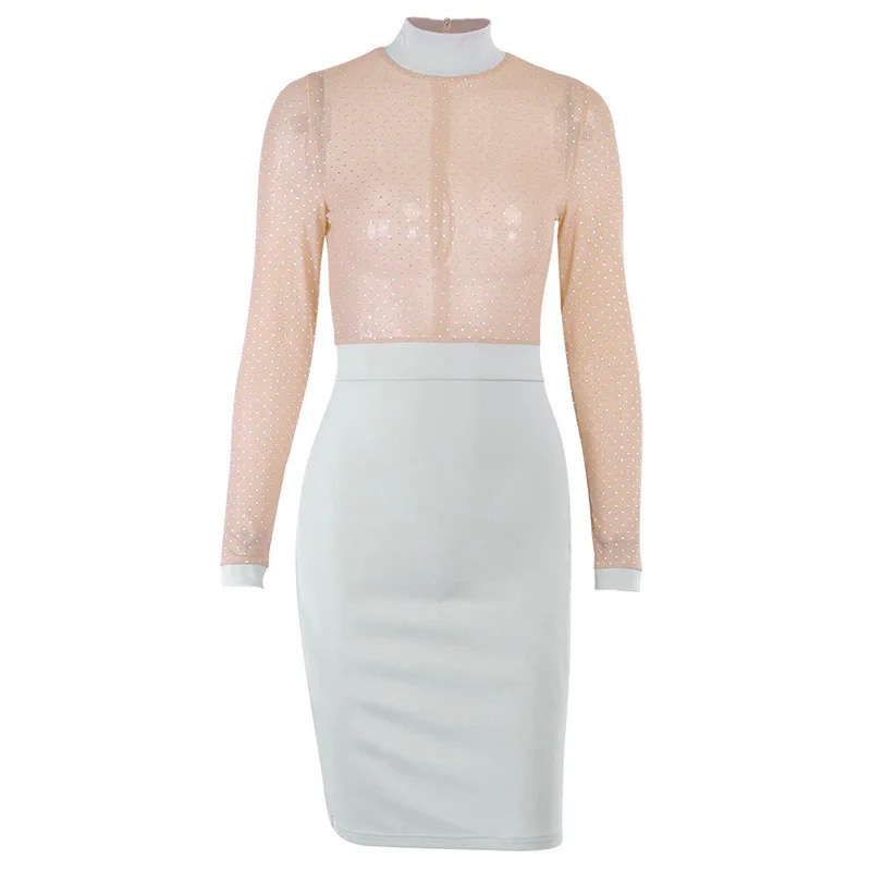 

Sexy Mesh Long Sleeve Slim Fit Nightclub Dress Women See Through Turtleneck Bodycon Dress