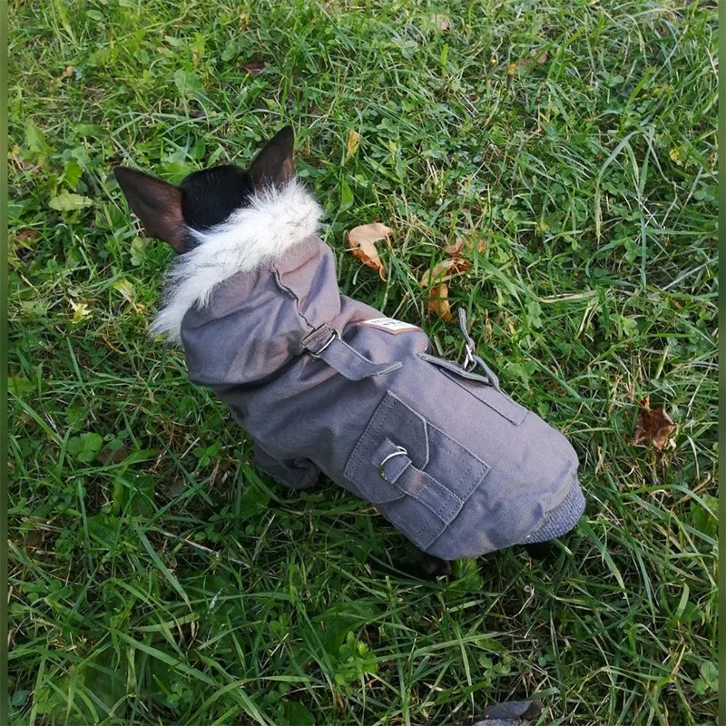 

Pet Dog Clothes For Dogs Winter Warm Cotton Puppy Coats Jackets Chihuahua French Bulldog Jacket Pets Clothing Jacket For Dogs