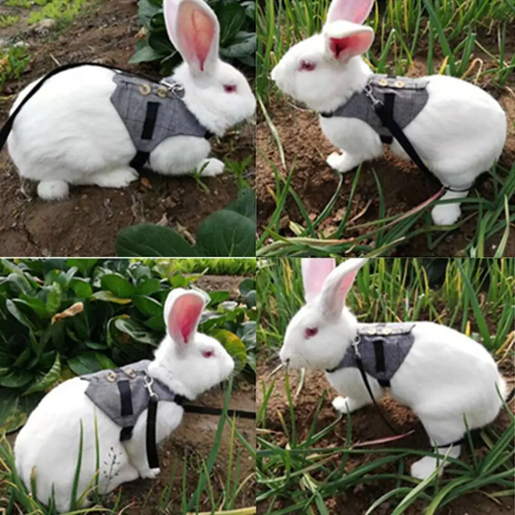 

Small Pet Rabbit Plaid Suit Harness Clothes Vest Chest Strap Leash Traction Rope