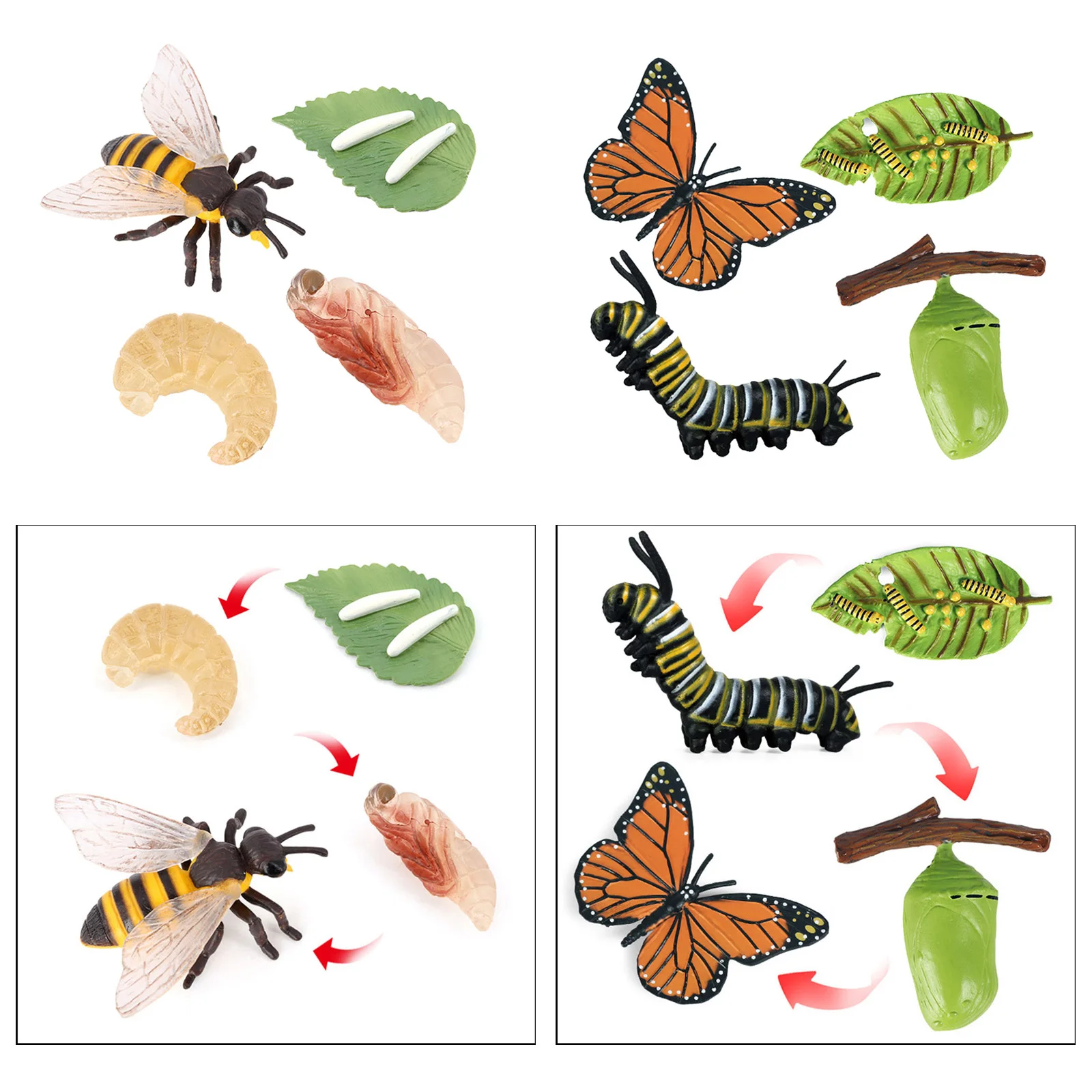 

Plastic Insects Butterfly Bee Growth Figures Model Learning Toys Role Play
