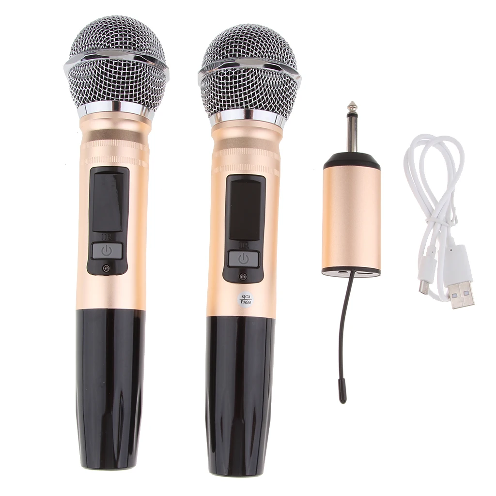 2 канала двойной ручной беспроводной микрофон система набор для домашней