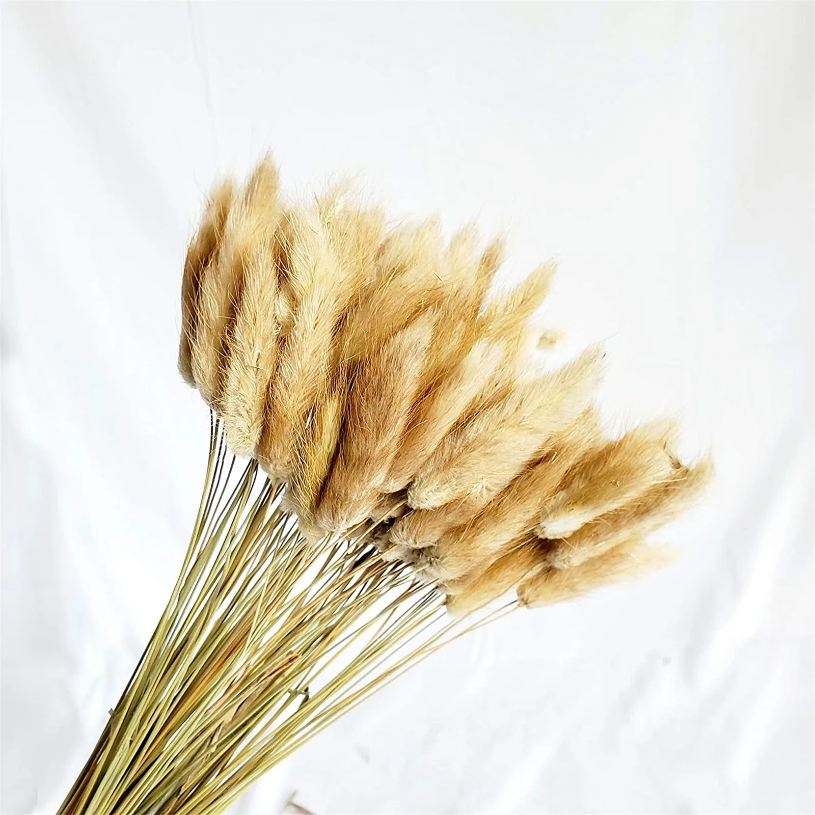 Сушеные цветы домашний Свадебный декор натуральное украшение для гостиной и