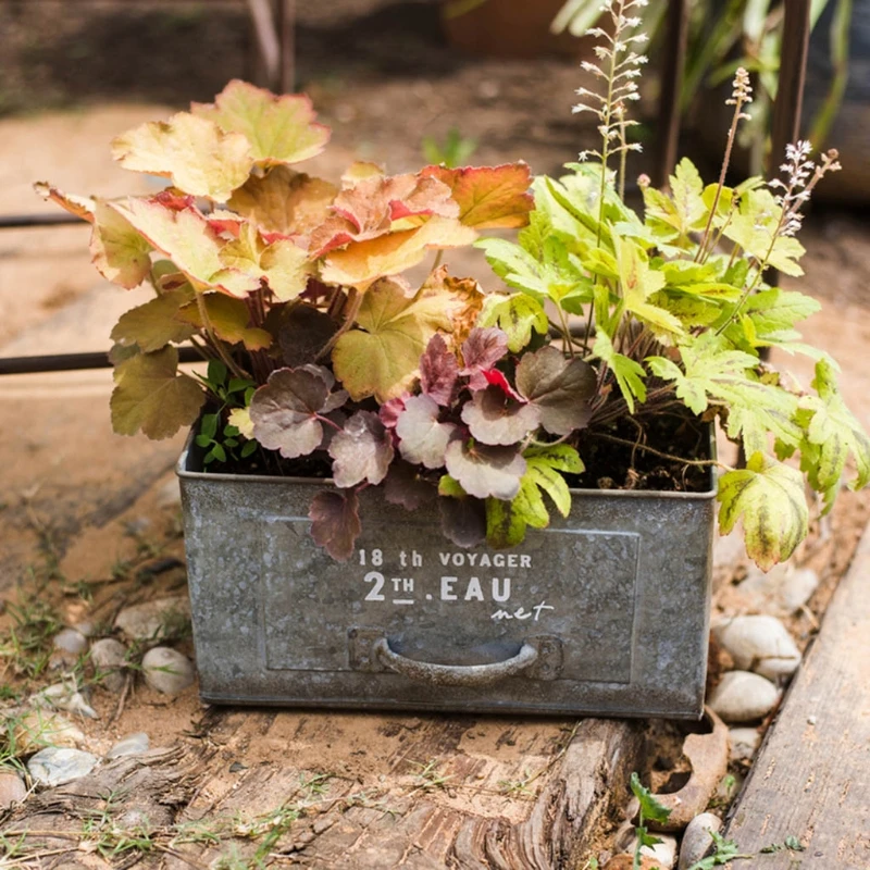 Прямоугольный горшок для растений с суккулентами цветочный железный в стиле
