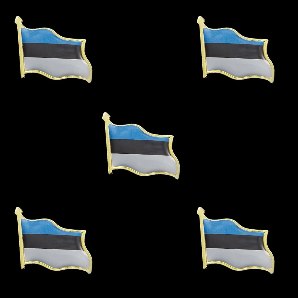 5 шт. значок брошь для одежды шляпы шляпы|Булавки и значки| |