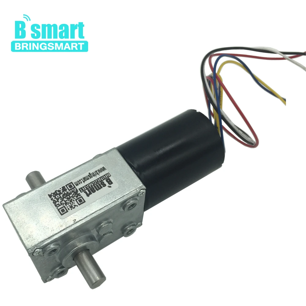 BringSmart BLDC мотор высшего качества 5840 3650 24v бесщеточный Dc червячный редуктор 12 v